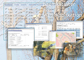 Baumkataster